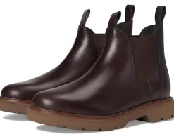 Boots|Cole Haan American Classics Chelsea Boots Madeira Waterproof/Dark Java/Dark Java