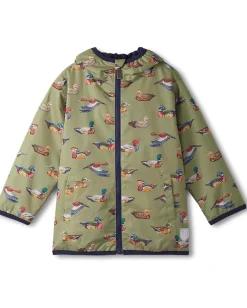 Kids/BOY Hatley Kids Field Jacket (Toddler/Little Kid/Big Kid)