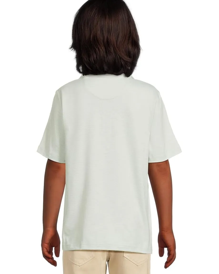 Clothing|Johnston & Murphy Kids Micro Stripe Polo (Big Kid) Green