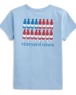 Kids Vineyard Vines Kids Popsicle Flag Short Sleeve (Toddler/Little Kid/Big Kid)