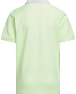 adidas Golf Kids Clothing<Striped Golf Polo Shirt (Little Kids/Big Kids) Green Spark