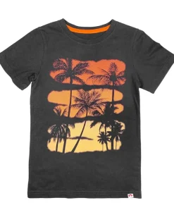 Clothing|Appaman Kids Sunset Palm Tree Graphic Tee (Toddler/Little Kid/Big Kid) Dark Grey