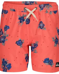 Kids/BOY Quiksilver Kids Surfsilk Mix Volley (Big Kids)