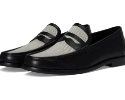 Steve Madden Westport Beige/Black