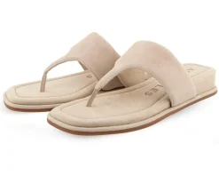 Aerosoles Sandals|Sandals<Women's Barry